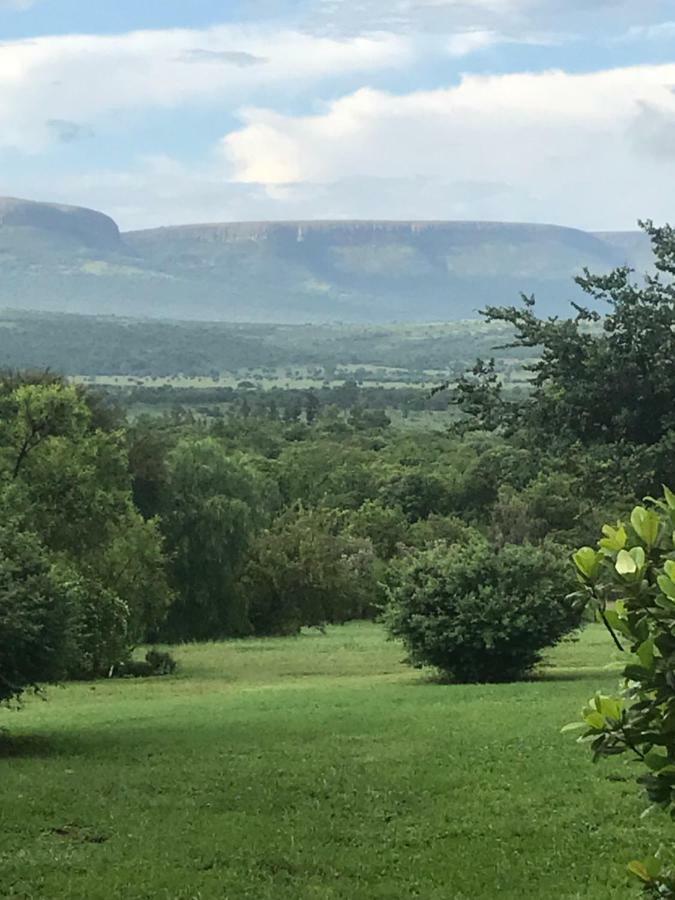 Olive Tree Farm Bed & Breakfast Magaliesburg Exterior photo