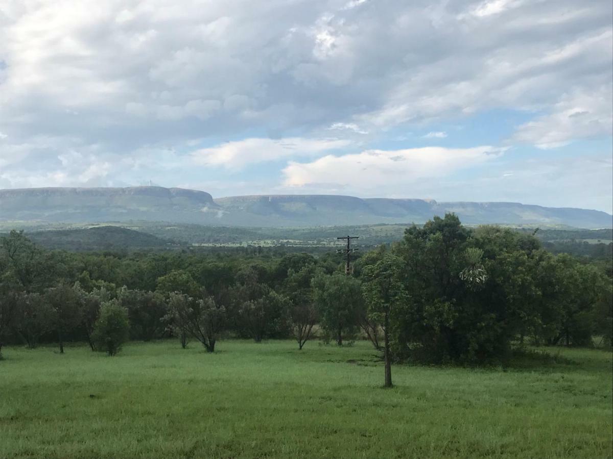 Olive Tree Farm Bed & Breakfast Magaliesburg Exterior photo