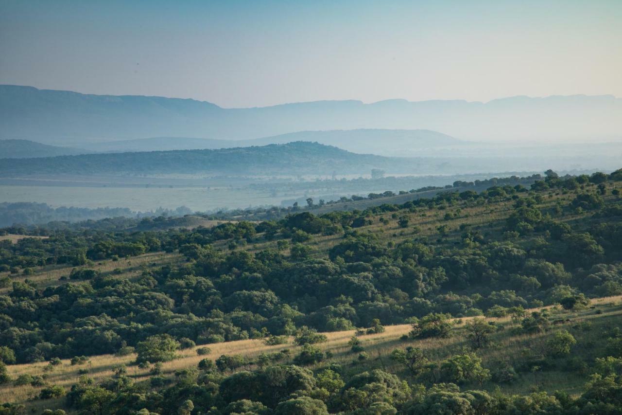 Olive Tree Farm Bed & Breakfast Magaliesburg Exterior photo