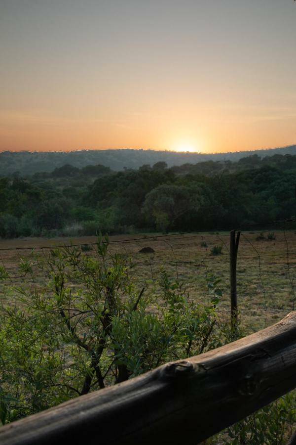 Olive Tree Farm Bed & Breakfast Magaliesburg Exterior photo