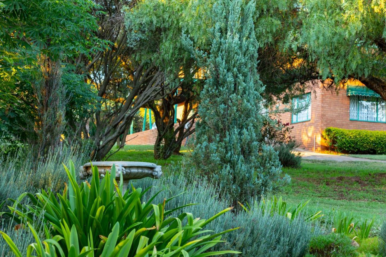 Olive Tree Farm Bed & Breakfast Magaliesburg Exterior photo